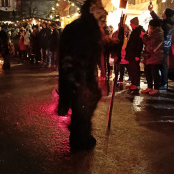 Adventní Mariazell